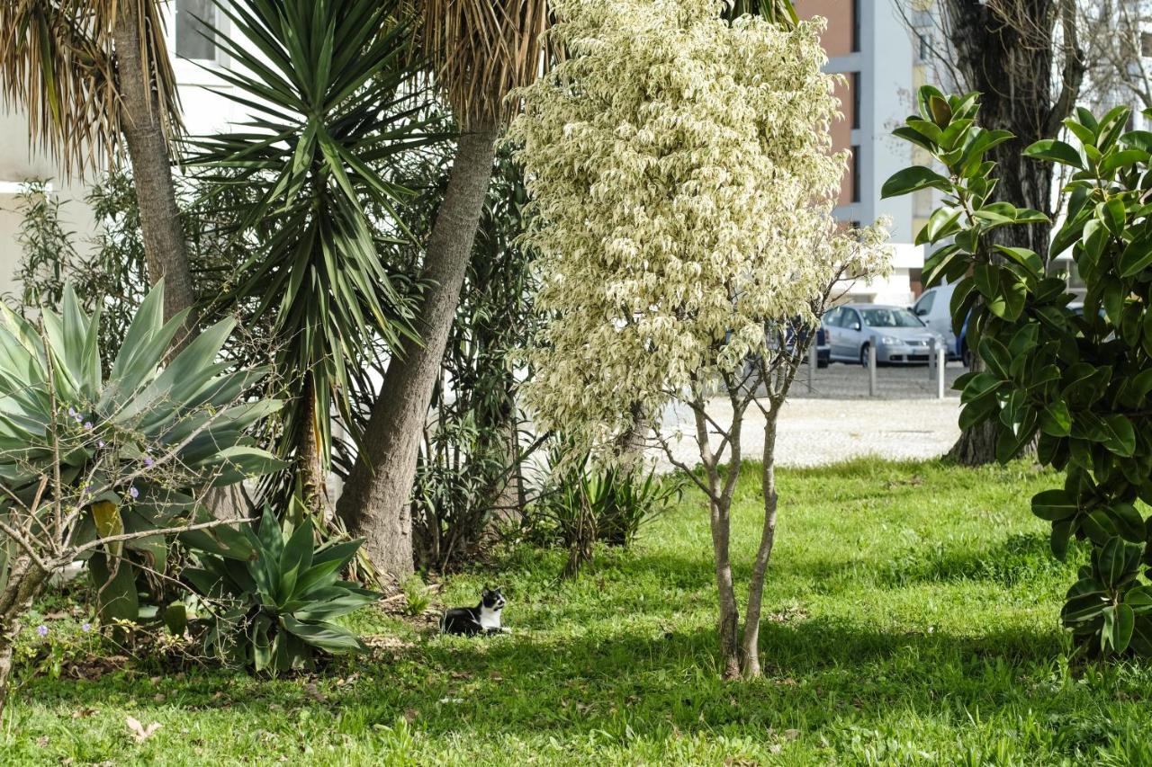 Olive Grove Apartment By Trip2Portugal Lisbona Esterno foto